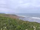 Views of scarborough