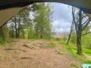 Tree roots. no space to camp