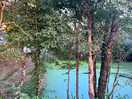 Pond