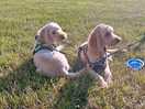 They loved people watching