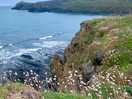 Coast walk