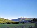 Campsite scenery