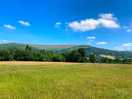The view from the estate road to the site