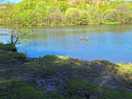 Site