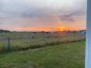 Looking out over the fields