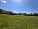 Across the camping field