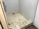 Toilet and shower area