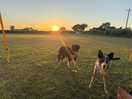 Watching the sun go down