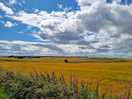 Beautiful farm land around