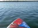 Paddling in the harbour