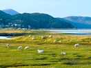 Beauty of wales