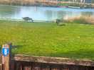 View from the waterside pitches