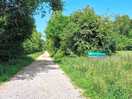 Walk