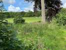 From the woods below looking back at the site lune side pitches.
