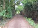 Walk up the lane