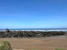 View across widemouth beach