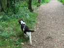 Nice walk