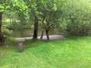 Nature field