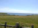 View from the lane