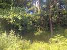 Stream
