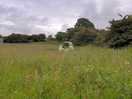 Our pitch!