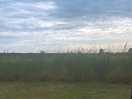 Morning view
