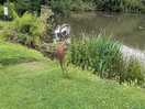 Fishing pitch view