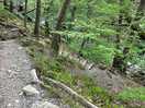 Torrent walk
