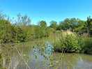 Lakes