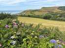 View towards eype beach from the site