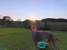Gorgeous sunset