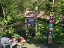Fineshade woods. expensive to park camper £11 cars cheaper. best to go early as became very busy