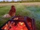 Fire pit bliss