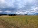 Farm walk