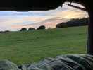 View from our camper