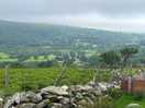 View from the top of the farm