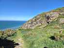 Coastal path nearby