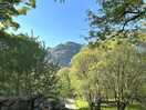 Campsite