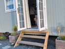 Front door arnie peaking