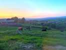 Sunset view from lodge 1