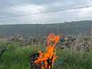 A fire