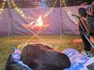 Dog and fire pit friendly