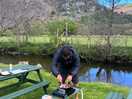 Cooking with views