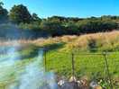 Fire pit