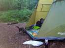 Woodland camp