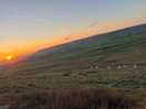 Sunsets and sheep
