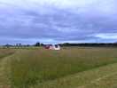 Grass pitches