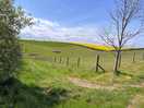 Out walking