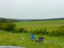 View from site