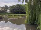 Beautiful lake